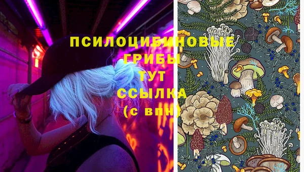 молекула духа Краснотурьинск