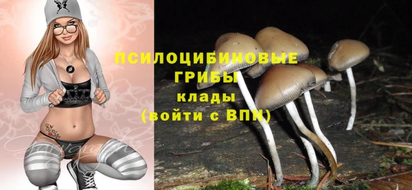 герыч Краснослободск