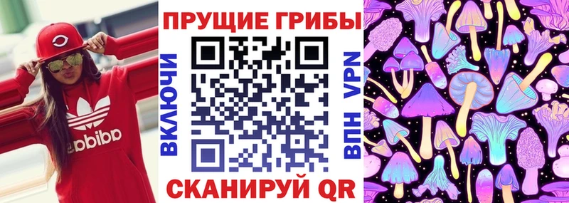 Псилоцибиновые грибы Psilocybine cubensis Шахты